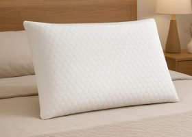 dreamzone4